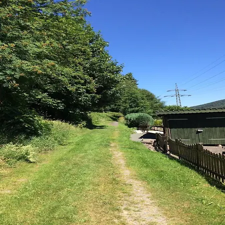 Modern Escape In Niedersfeld Winterberg